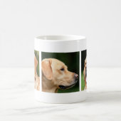 Gepersonaliseerde Pet Drie Foto Koffie Koffiemok (Center)