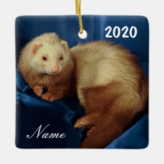 Gepersonaliseerde Pet Ferret Keramisch Ornament (Voorkant)