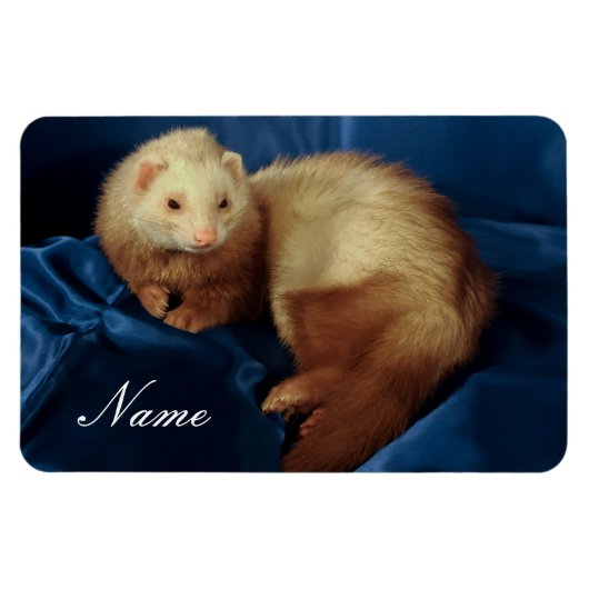 Gepersonaliseerde Pet Ferret Magneet (Horizontaal)