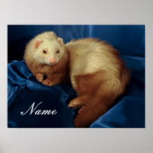 Gepersonaliseerde Pet Ferret Poster (Voorkant)