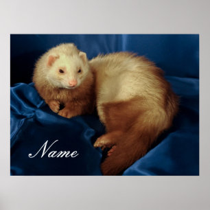 Gepersonaliseerde Pet Ferret Poster