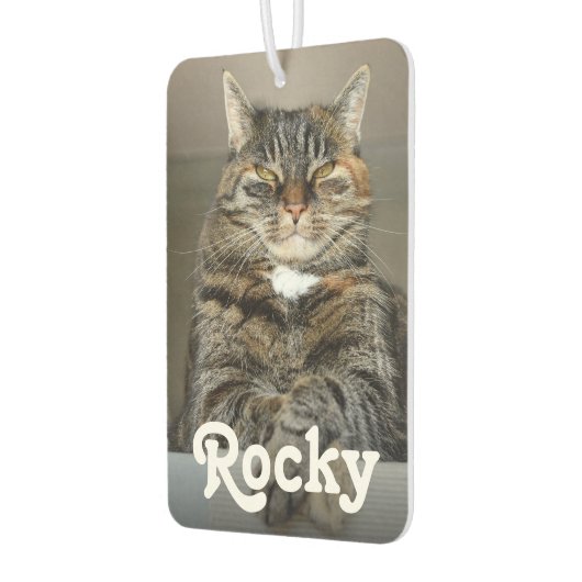 Gepersonaliseerde Pet Foto en Naam Dubbelzijdige A Luchtverfrisser (Links)