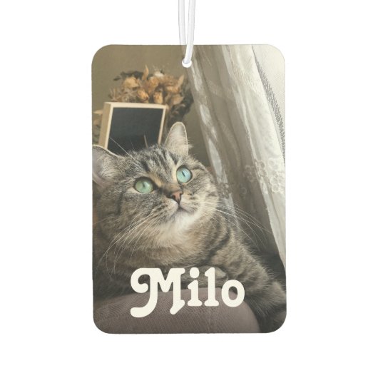 Gepersonaliseerde Pet Foto en Naam Dubbelzijdige A Luchtverfrisser (Achterkant)