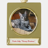 Gepersonaliseerde Pet Foto Kerstversieringen Verguld Banner Ornament (Voorkant)