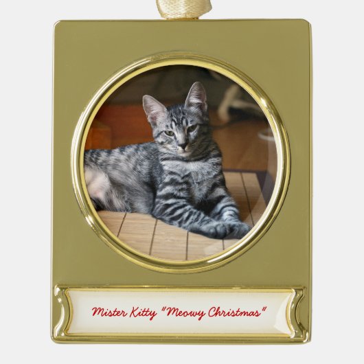 Gepersonaliseerde Pet Foto Kerstversieringen Verguld Banner Ornament (Voorkant)