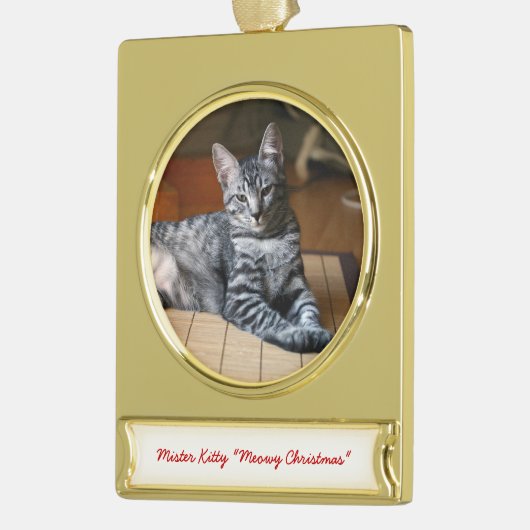 Gepersonaliseerde Pet Foto Kerstversieringen Verguld Banner Ornament (Links)