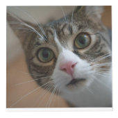 Gepersonaliseerde Pet Keepsake voor katten of hond Kubus (Rechts)