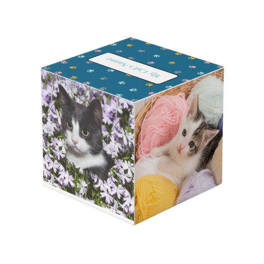 Gepersonaliseerde Pet Keepsake voor katten of hond Kubus (Achter hoekig)