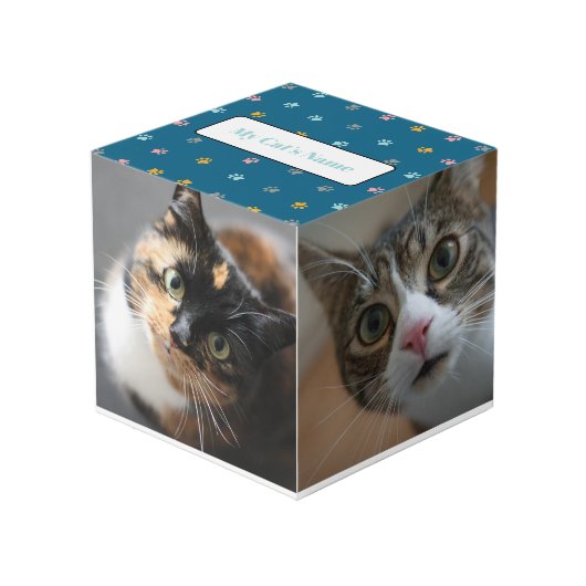 Gepersonaliseerde Pet Keepsake voor katten of hond Kubus (Voorkant hoekig)