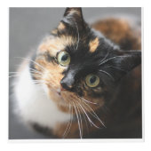 Gepersonaliseerde Pet Keepsake voor katten of hond Kubus (Voorkant)