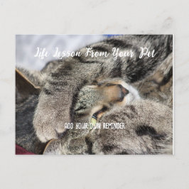 Gepersonaliseerde Pet Life Lesson Feestdagenkaart