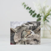 Gepersonaliseerde Pet Life Lesson Feestdagenkaart (Staand voorkant)