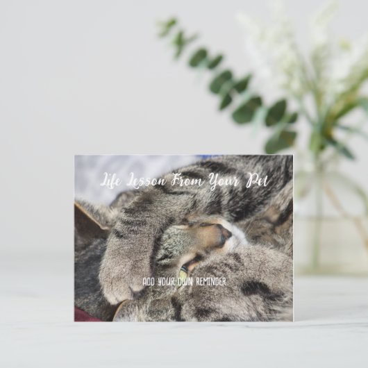 Gepersonaliseerde Pet Life Lesson Feestdagenkaart (Staand voorkant)