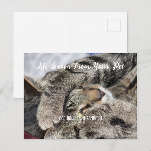 Gepersonaliseerde Pet Life Lesson Feestdagenkaart (Voorkant / Achterkant)