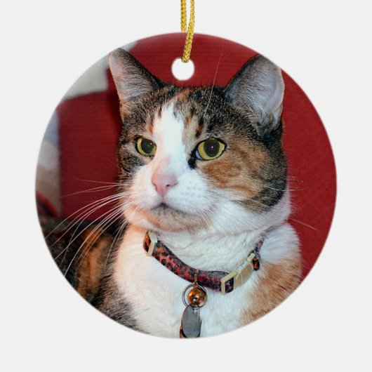 Gepersonaliseerde Pet Memorial Foto Ornament (Voorkant)