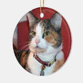 Gepersonaliseerde Pet Memorial Foto Ornament (Links)