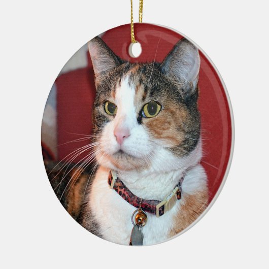 Gepersonaliseerde Pet Memorial Foto Ornament (Links)