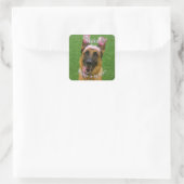 Gepersonaliseerde Pet Memorial Foto Sticker (Tas)
