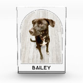 Gepersonaliseerde Pet Naam Modern Arch Fotoblokken (Voorkant)