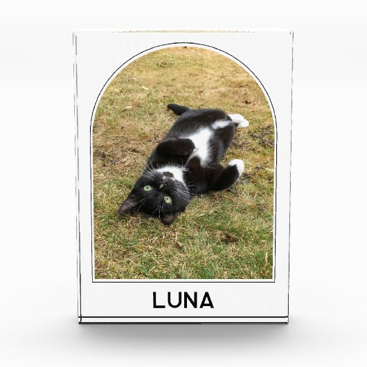 Gepersonaliseerde Pet Naam Modern Arch Fotoblokken (Voorkant)