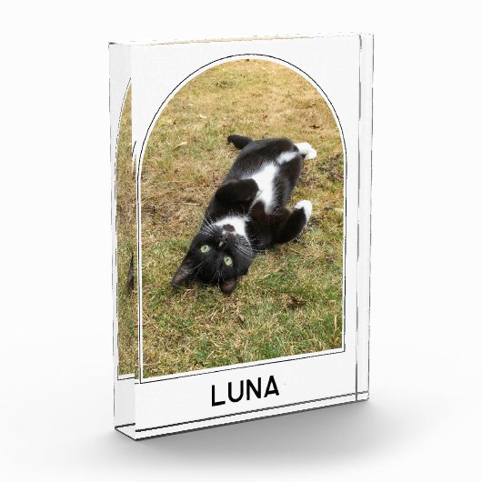 Gepersonaliseerde Pet Naam Modern Arch Fotoblokken (Links)