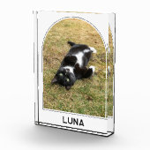 Gepersonaliseerde Pet Naam Modern Arch Fotoblokken (Rechts)