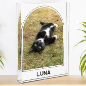 Gepersonaliseerde Pet Naam Modern Arch Fotoblokken