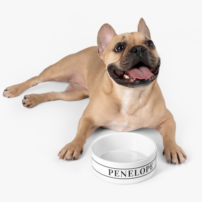 Gepersonaliseerde Pet Naam Modern Custom Voerbakje (Cute Personalized Pet Dog Bowl)