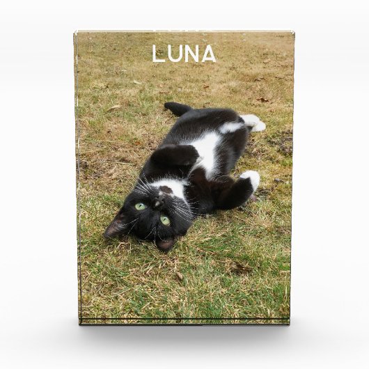 Gepersonaliseerde Pet Naam Modern Fotoblokken (Voorkant)