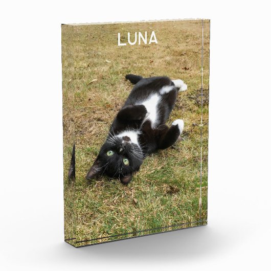 Gepersonaliseerde Pet Naam Modern Fotoblokken (Links)