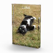 Gepersonaliseerde Pet Naam Modern Fotoblokken (Rechts)