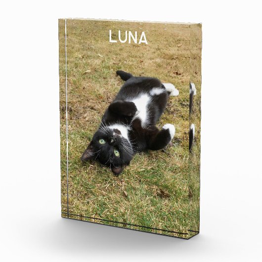 Gepersonaliseerde Pet Naam Modern Fotoblokken (Rechts)