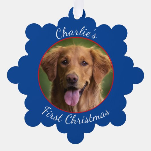 Gepersonaliseerde Pet Paper Snowflake Ornament Kaart (Voorkant)