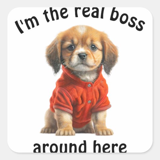 Gepersonaliseerde Pet Photo Boss Dog Vierkante Sticker (Voorkant)