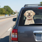 Gepersonaliseerde Pet Photo Car Window Sticker