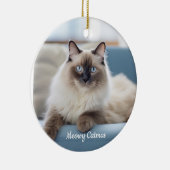 Gepersonaliseerde Pet Photo Ornament (Rechts)