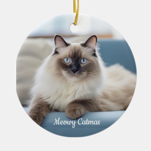 Gepersonaliseerde Pet Photo Ornament (Voorkant)