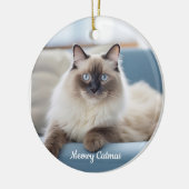 Gepersonaliseerde Pet Photo Ornament (Links)