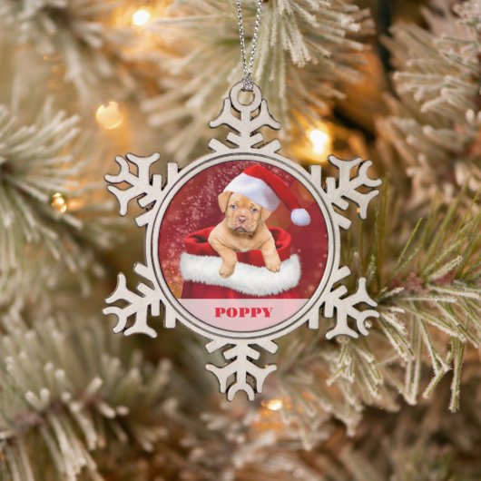 Gepersonaliseerde Pet Photo Snowflake ingelijst Or Tin Sneeuwvlok Ornament (Boom)