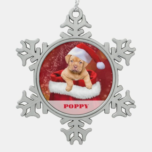 Gepersonaliseerde Pet Photo Snowflake ingelijst Or Tin Sneeuwvlok Ornament (Voorkant)