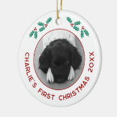 Gepersonaliseerde Pet Puppy Hond Eerste Kerstfoto Keramisch Ornament (Links)