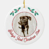 Gepersonaliseerde Pet Puppy Hond Eerste Kerstfoto Keramisch Ornament (Achterkant)