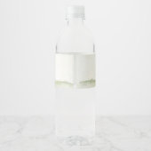 Gepersonaliseerde Peter Rabbit Water Bottle labels Waterfles Etiket (Achterkant)
