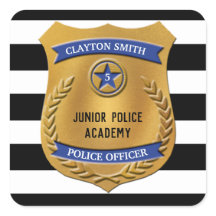 Gepersonaliseerde politiepartij