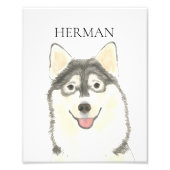 Gepersonaliseerde Pomsky Art Foto Afdruk (Voorkant)