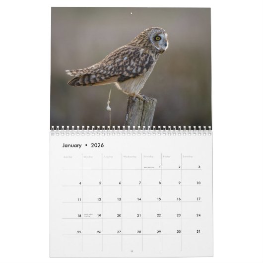 Gepersonaliseerde Pooping Dieren Kalender 2025 (Jan 2026)