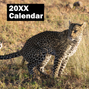 Gepersonaliseerde Pooping Dieren Kalender 2025