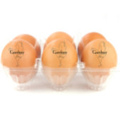 Gepersonaliseerde potlood Art Kip Naam Ei Rubberstempel