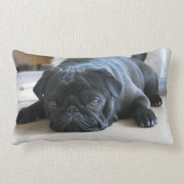 Gepersonaliseerde Pug Kussen, zwarte pug puppy, sc Kussen