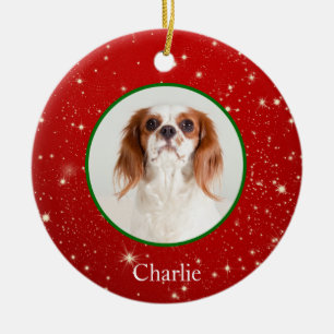 Gepersonaliseerde Puppy Dog Pet Photo Ornament